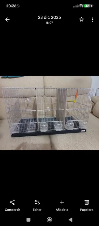 Jaula Cría Pájaros Imor 70cm