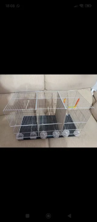 Jaula Cría Pájaros Imor 70cm