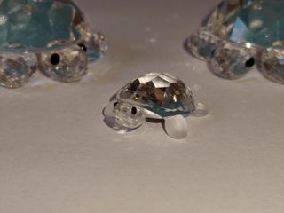 Swarovski Famiglia Tartarughe