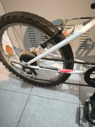 Bicicleta infantil roja.