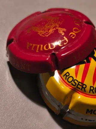 Lote Siete Placas de cava