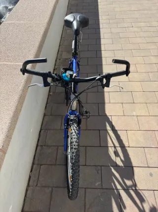 Bicicleta de Montaña