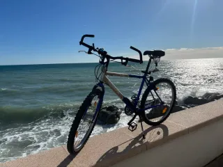 Bicicleta de Montaña