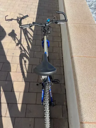 Bicicleta de Montaña