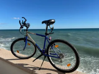 Bicicleta de Montaña