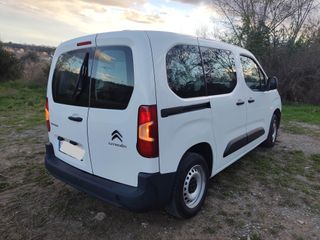 Citroen Berlingo Talla M Bluehdi 2019