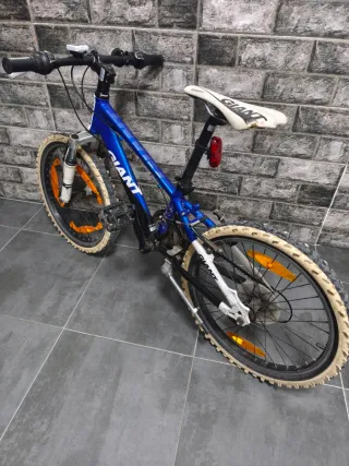 Bici Giant 20 infantil