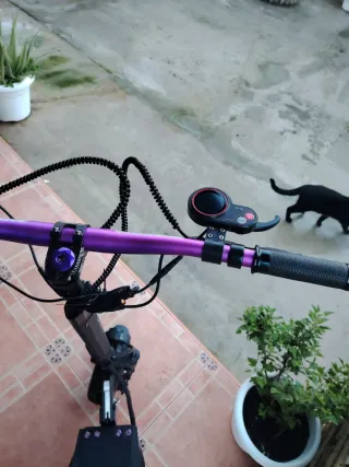 Patinete eléctrico Ecoxtrem boop.