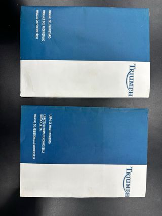 DAYTONA 600i DESDE 102€/MES