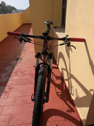 Orbea Alma 29 MTB