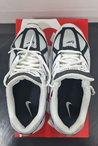 Nike Air Pegasus 2005 (2k5)