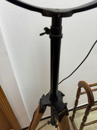 Lámpara Industrial Negra y Dorada