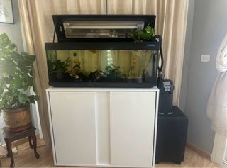 Acuario 120L con mueble