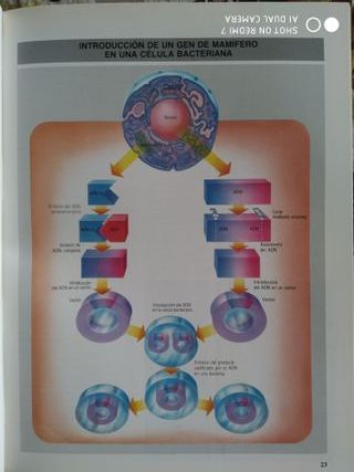 GUIA ESCOLAR VOX NUEVAS TECNOLOGÍAS INFORMÁTICAS