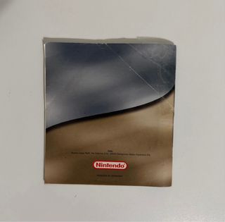 Guida Allenatore Pokémon Argento Oro