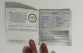 Guida Allenatore Pokémon Argento Oro