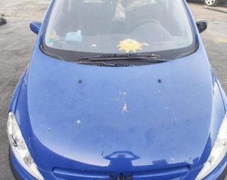 Capot peugeot 307 break / sw (s1)(04.2002) 358189
