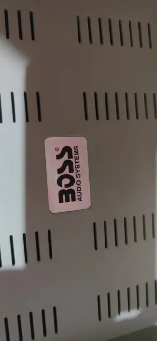 DVD para coche BOSS, la compré i no sé si funciona