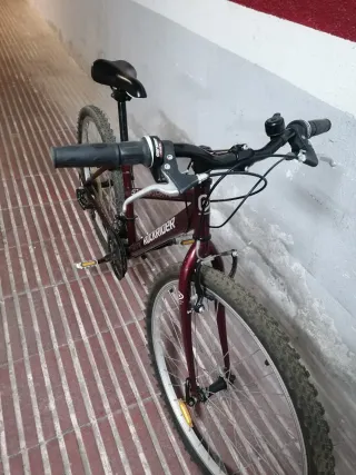 Bicicleta