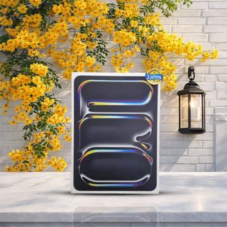 Apple IPad Pro 11 M4 wifi 256GB Negro