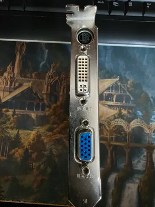 Scheda Video Nvidia GeForce