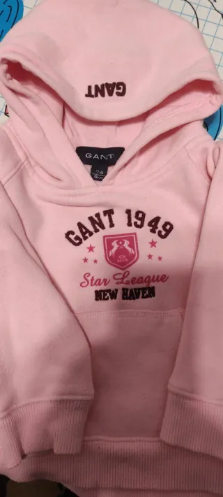 Sudadera Gant rosa con capucha