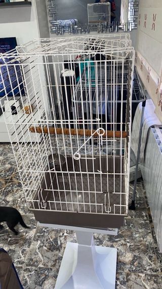 Jaula grande para pájaros