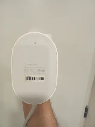 Plancha Vapor Vertical Xiaomi Mijia