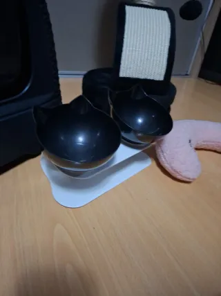 Box per gatti con accessori