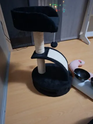 Box per gatti con accessori