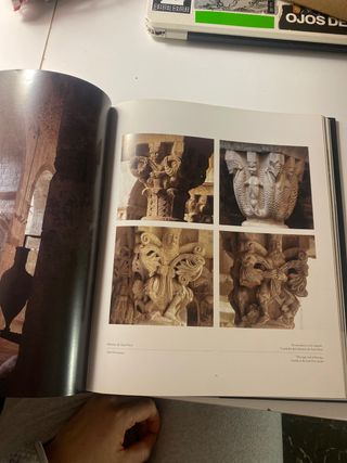 Girona : anatomía de la ciudad histórica