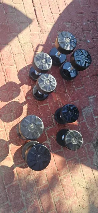 Mancuernas 15 kg (2 unidades)