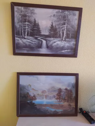 Cuadro Paisaje Cascada y Bosque