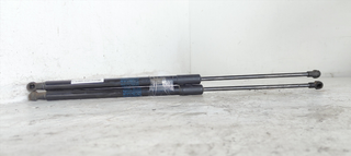 AMORTIGUADORES MALETERO / PORTON CITROEN C4 CACTU