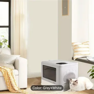 Box per gatti da inaugurare