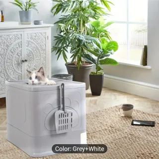 Box per gatti da inaugurare