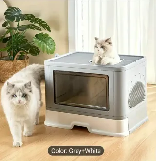 Box per gatti da inaugurare