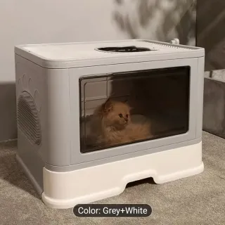 Box per gatti da inaugurare