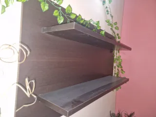 Estantería decorativa madera y plástico