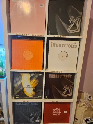 Lote 8 Vinilos House / Remember VG+ a NM