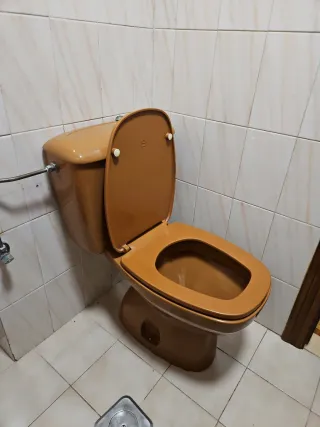 Inodoro Gala Marrón Cerámica