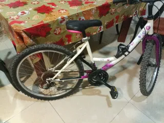 Bicicleta de mujer