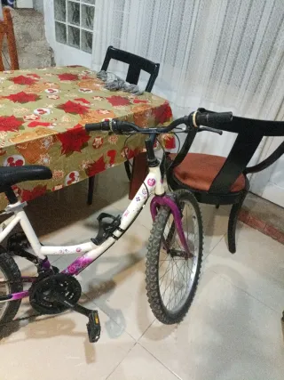 Bicicleta de mujer