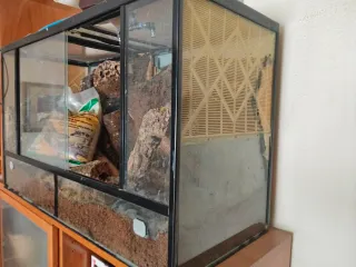 Terrario para mascotas