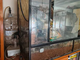 Terrario para mascotas