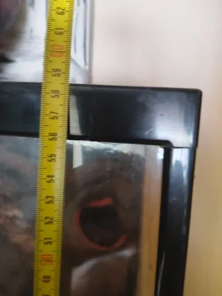 Terrario para mascotas