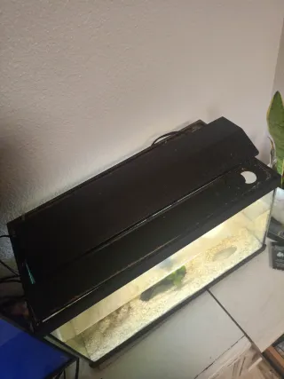 Acuario Negro y Transparente