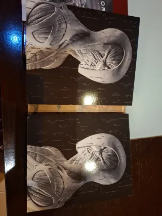 Blu-ray Westworld Temporada 1-2