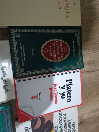 Literatura española