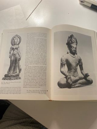 Arte y arquitectura en el subcontinente indio (...